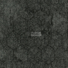 Ковровая плитка Contour Коллекция Perspective Perspective 959 фото 1 | FLOORDEALER